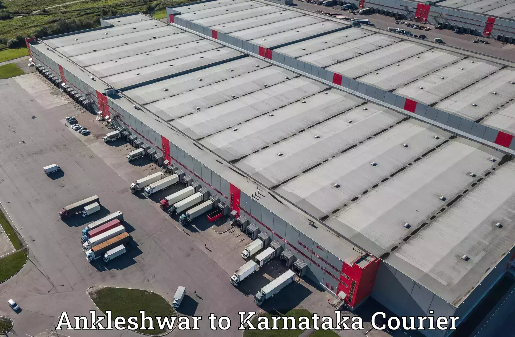 Express delivery capabilities Ankleshwar to Karnataka