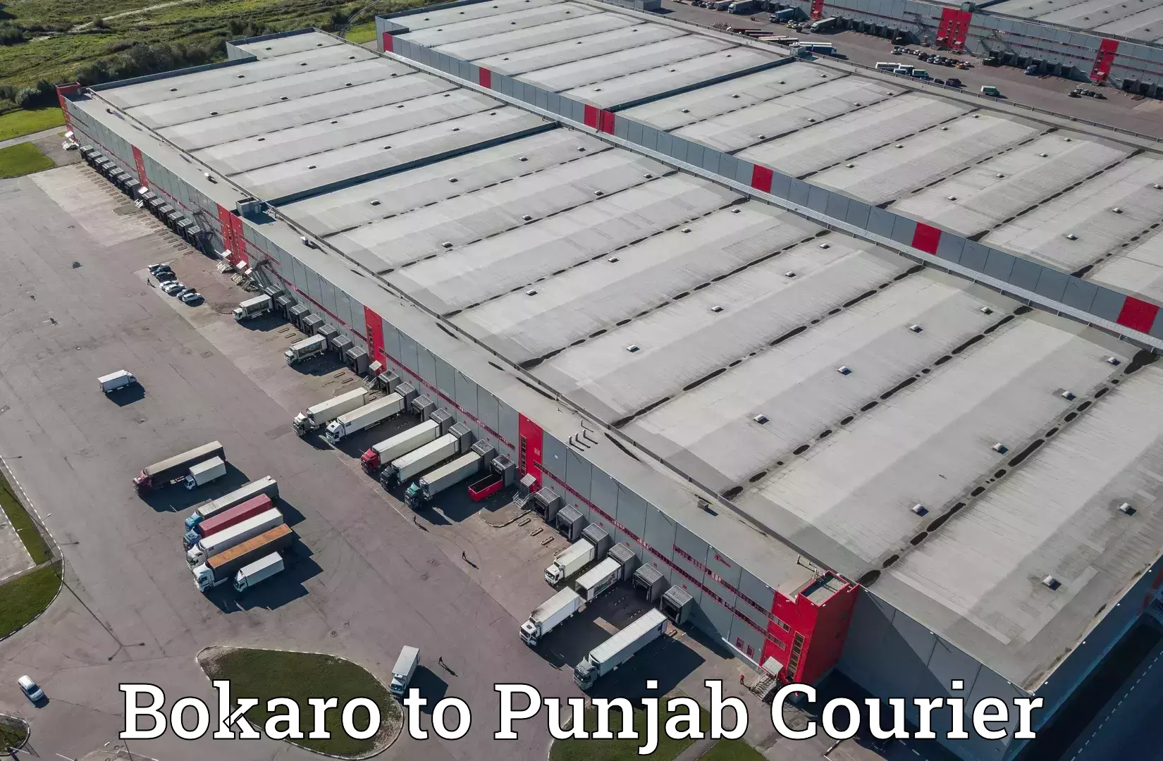 Seamless shipping service Bokaro to Punjab Agricultural University Ludhiana