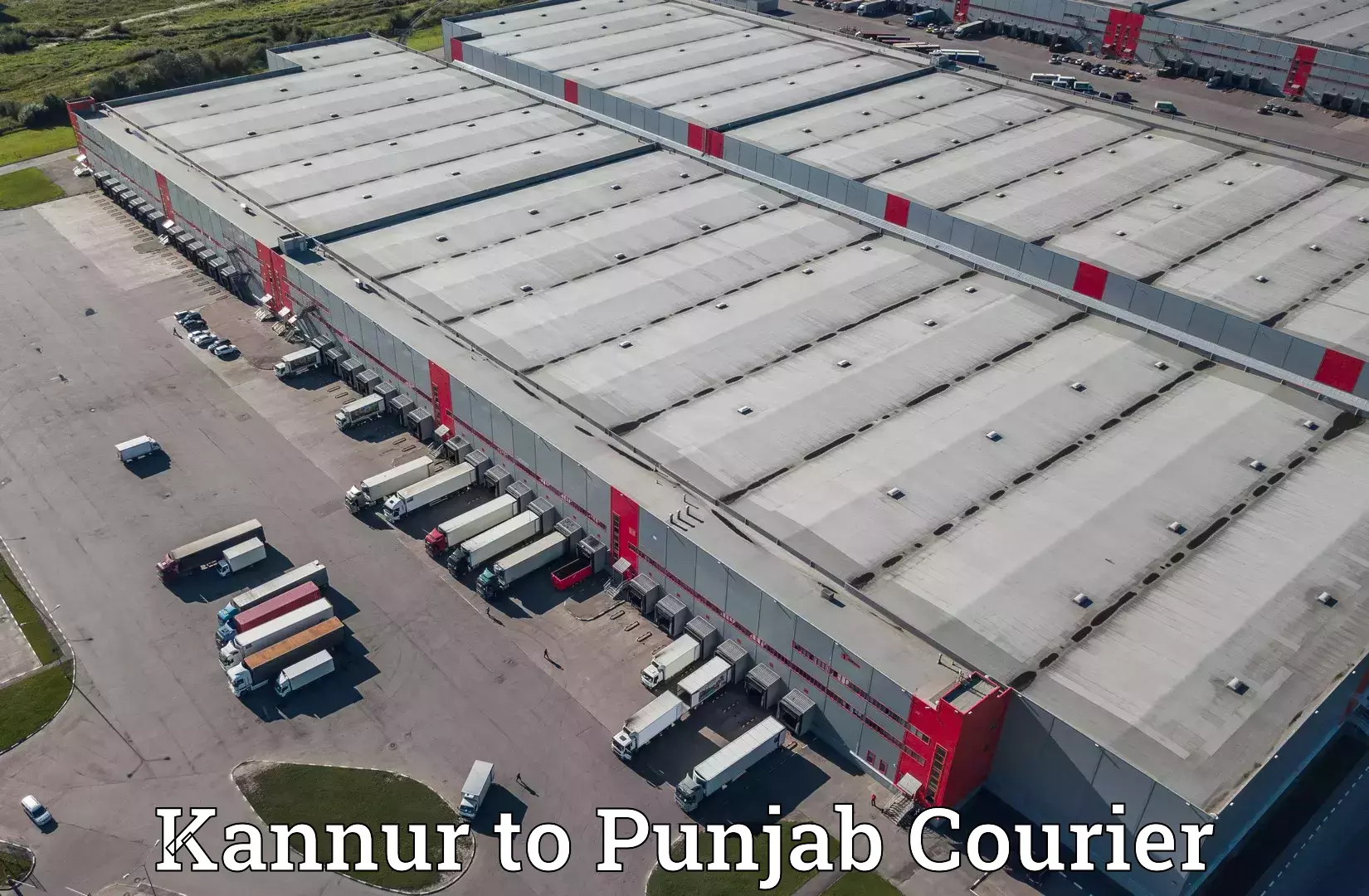 Courier dispatch services Kannur to Punjab