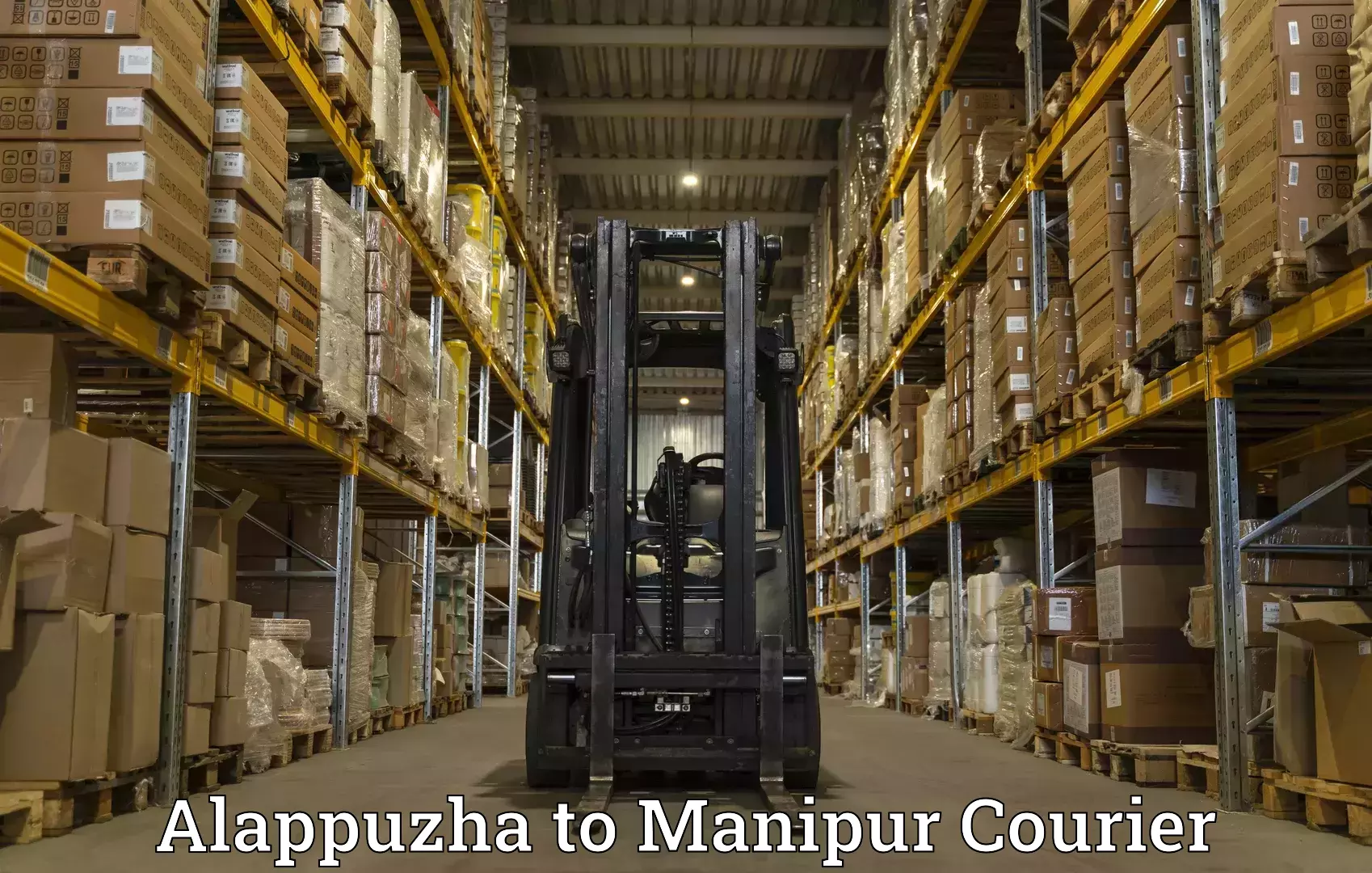 Versatile courier options Alappuzha to NIT Manipur