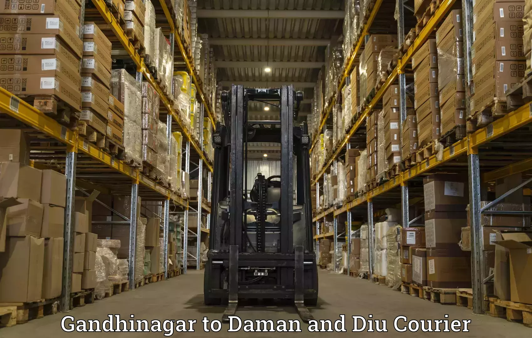 Global delivery options Gandhinagar to Diu