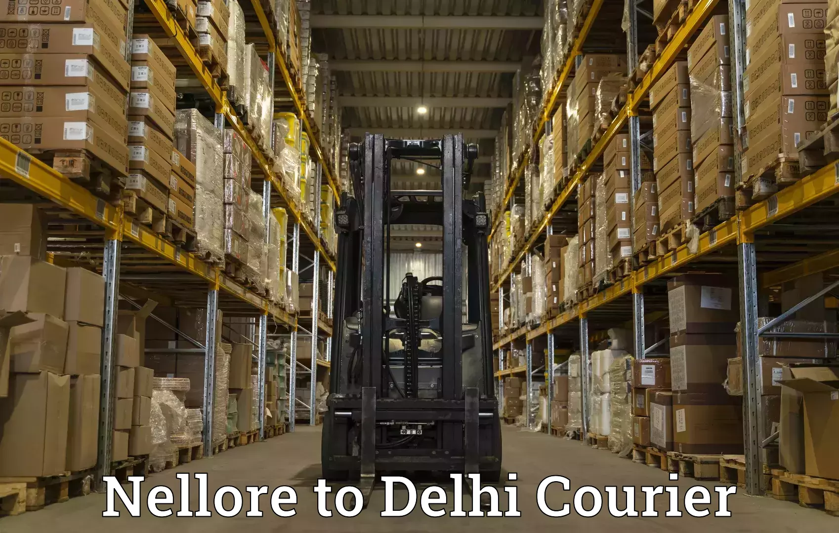 Parcel delivery Nellore to Jamia Millia Islamia New Delhi
