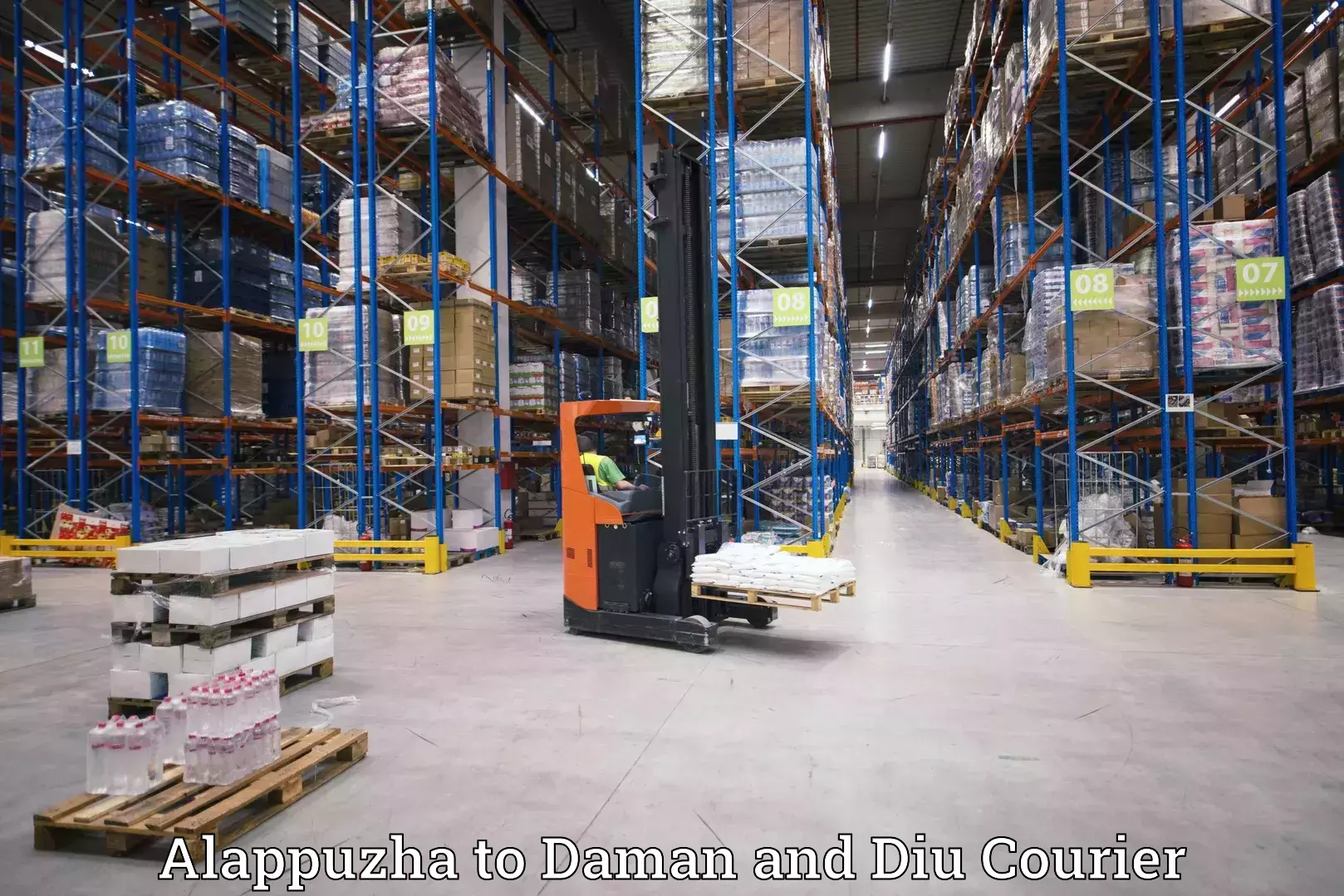 Business logistics support Alappuzha to Daman and Diu