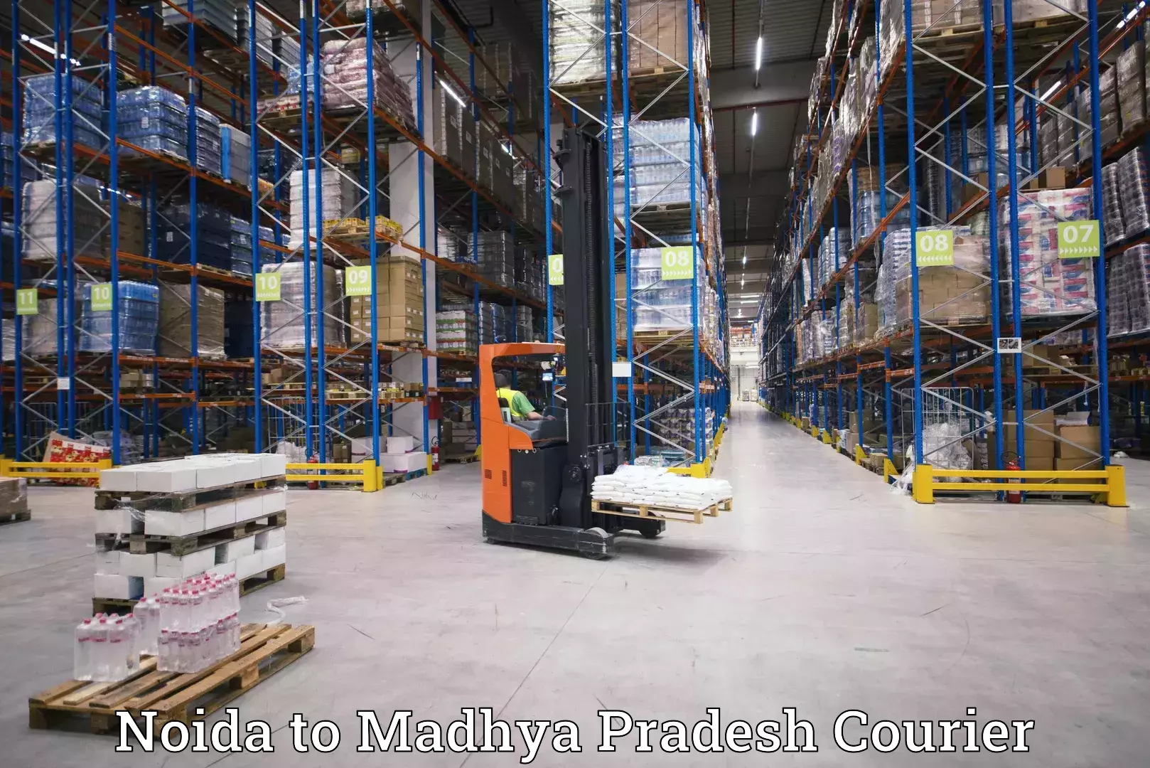 High-capacity courier solutions Noida to Mandsaur