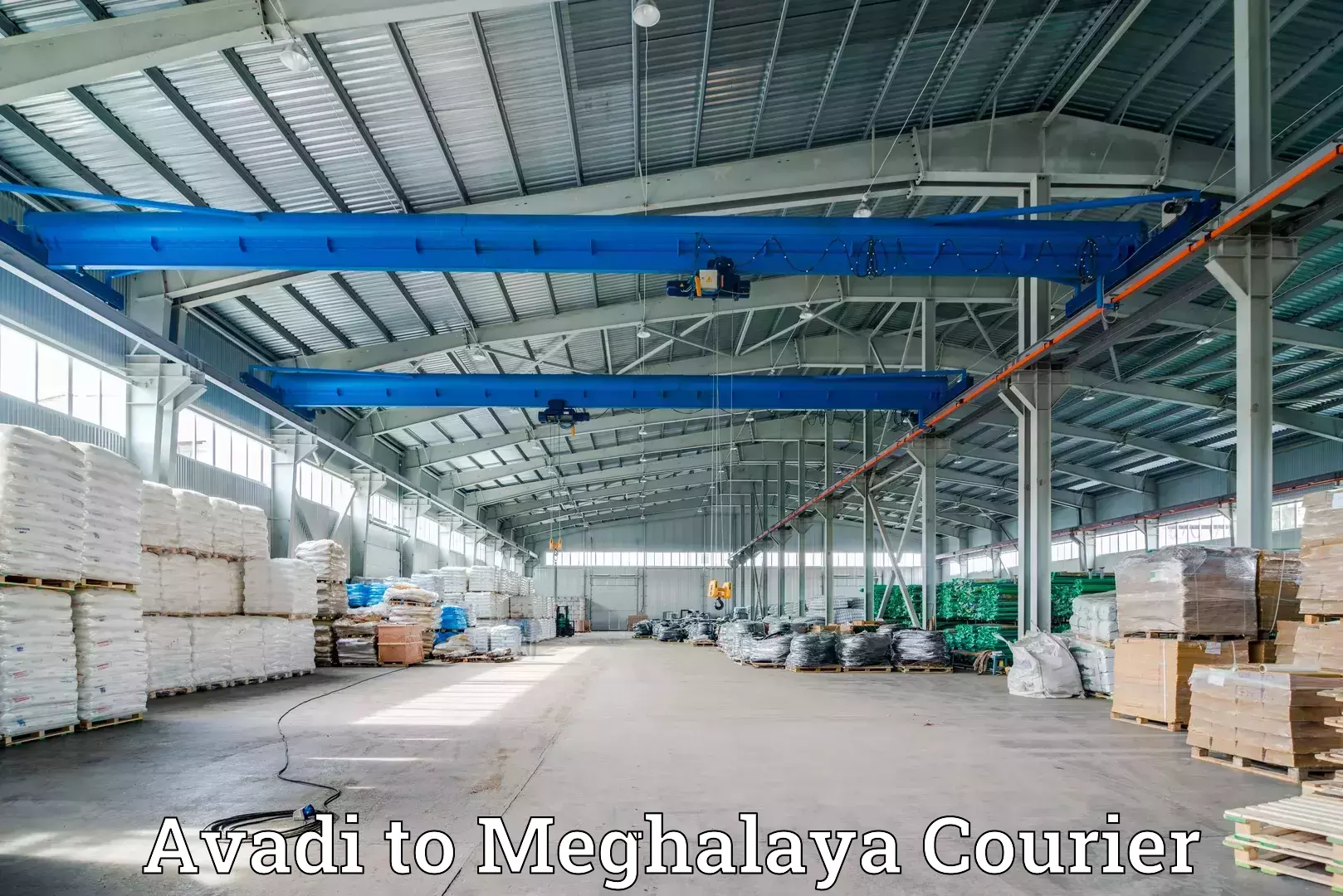 Reliable parcel services Avadi to Meghalaya