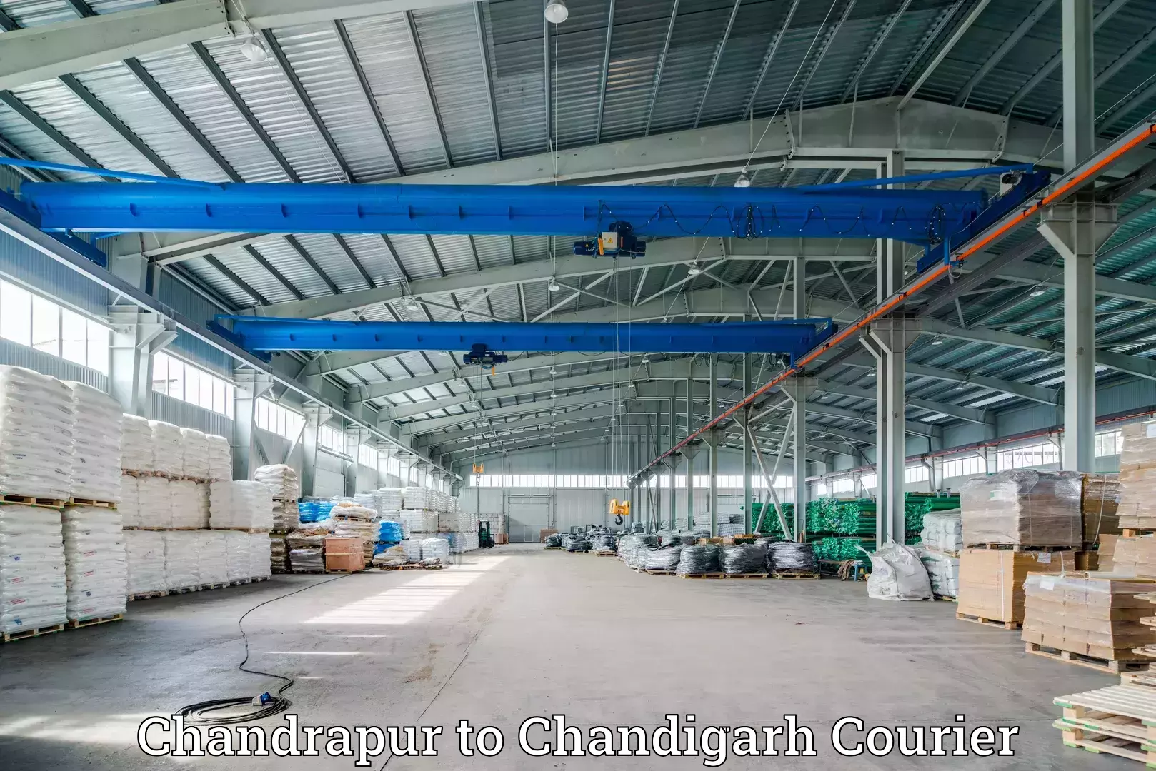 High-capacity parcel service Chandrapur to Chandigarh