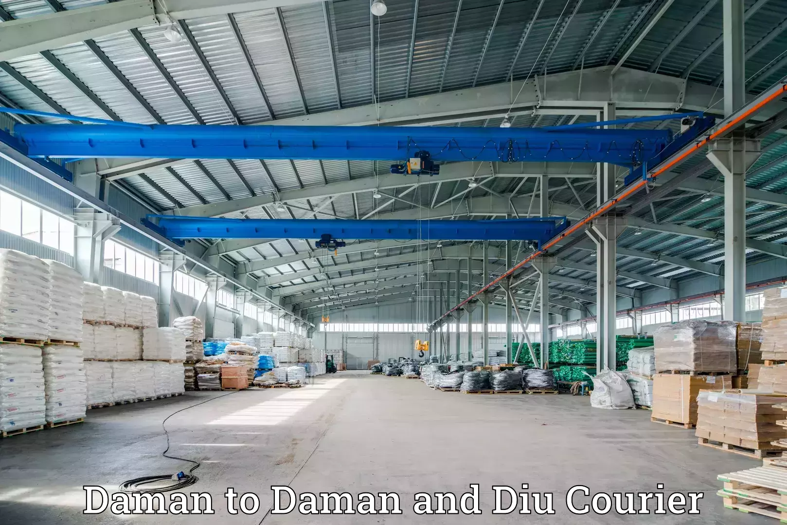 Customizable shipping options Daman to Daman and Diu