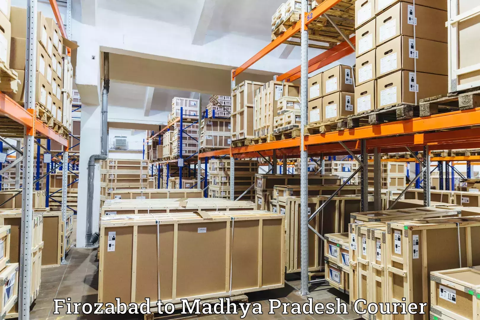 Secure shipping methods Firozabad to Madhya Pradesh