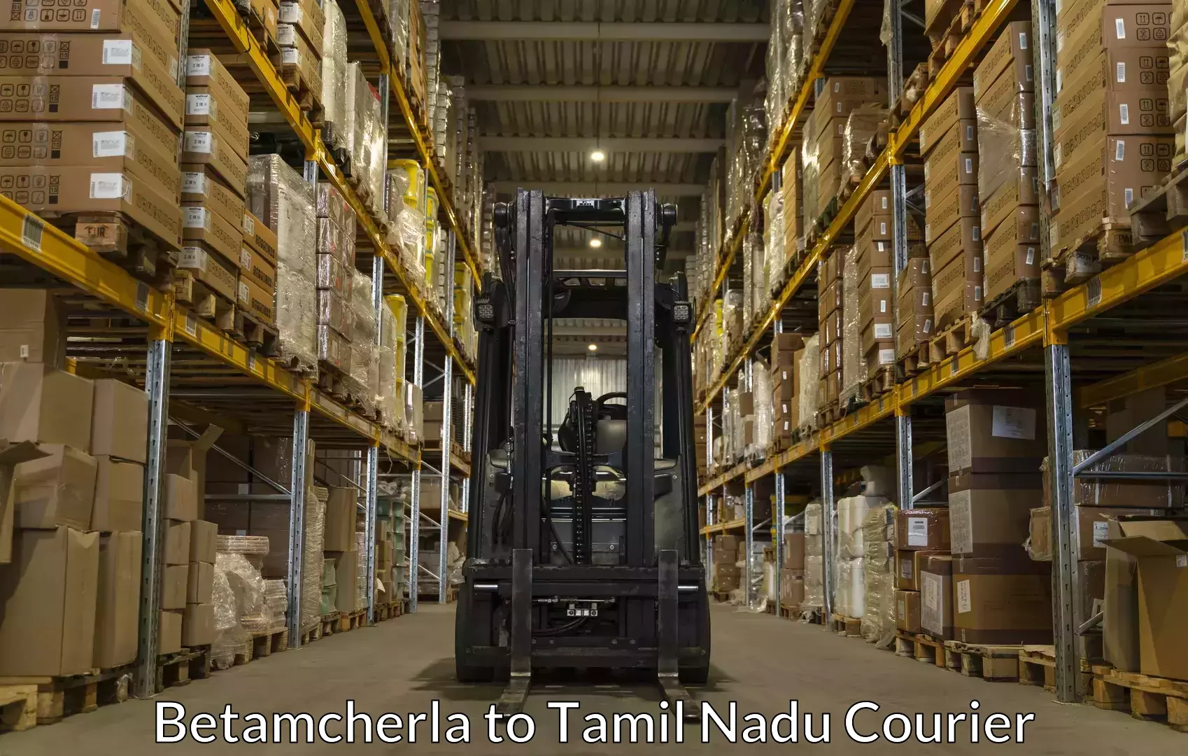 Packing and moving services in Betamcherla to Paramakudi