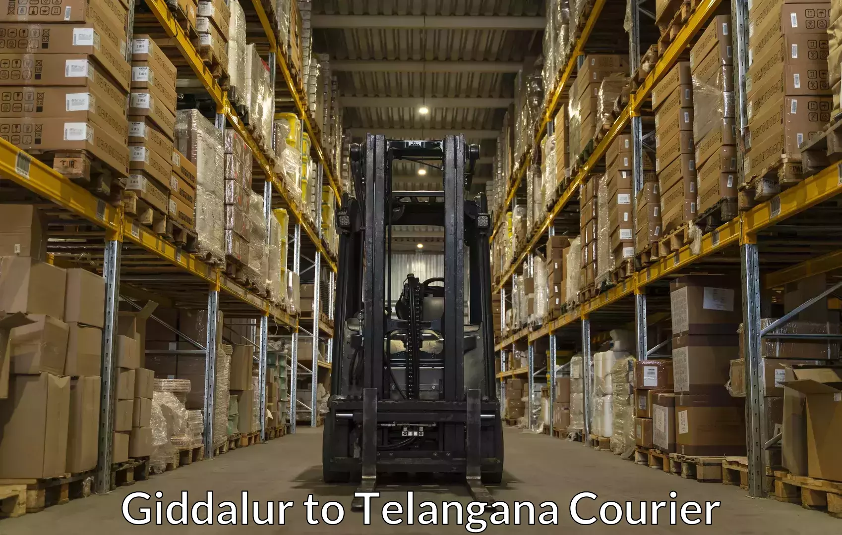 Professional movers Giddalur to Telangana