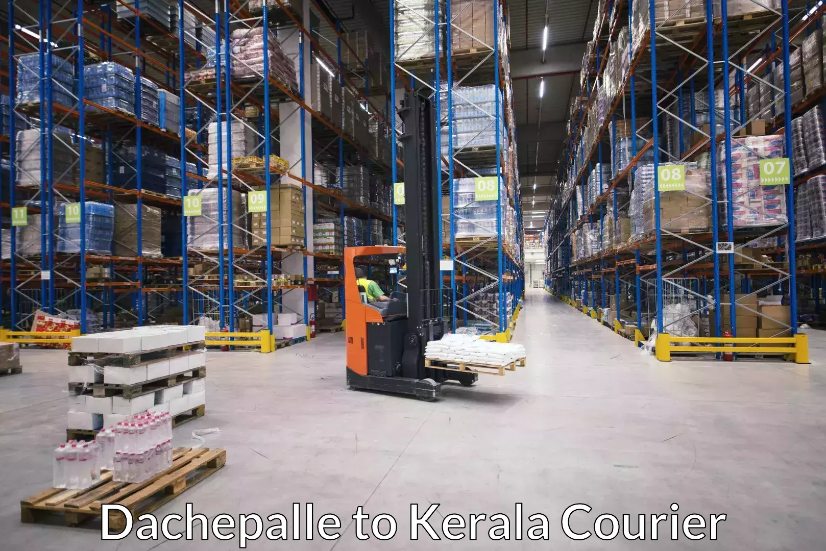 Efficient furniture movers Dachepalle to Kayamkulam