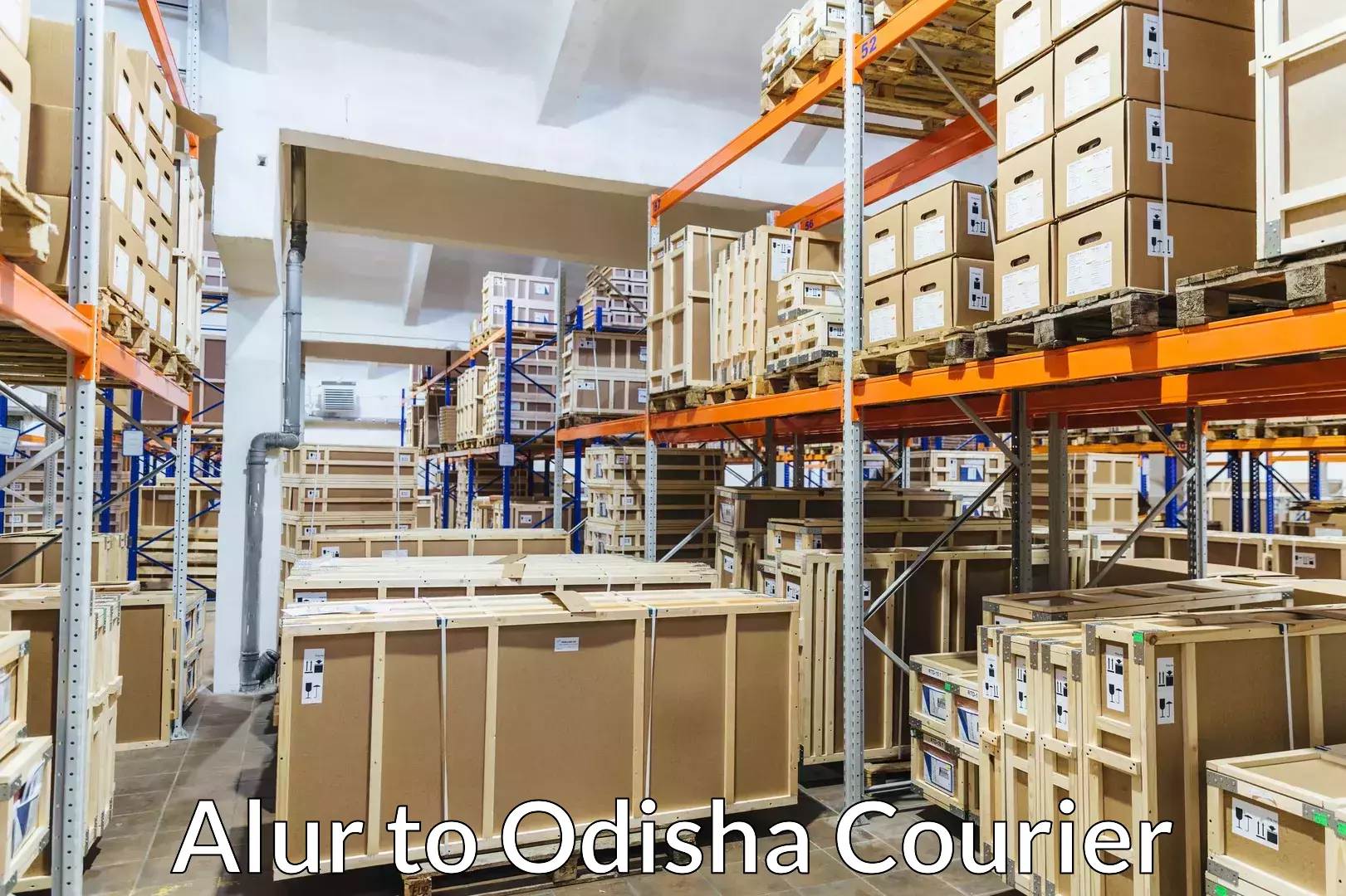 Reliable household moving Alur to Odisha