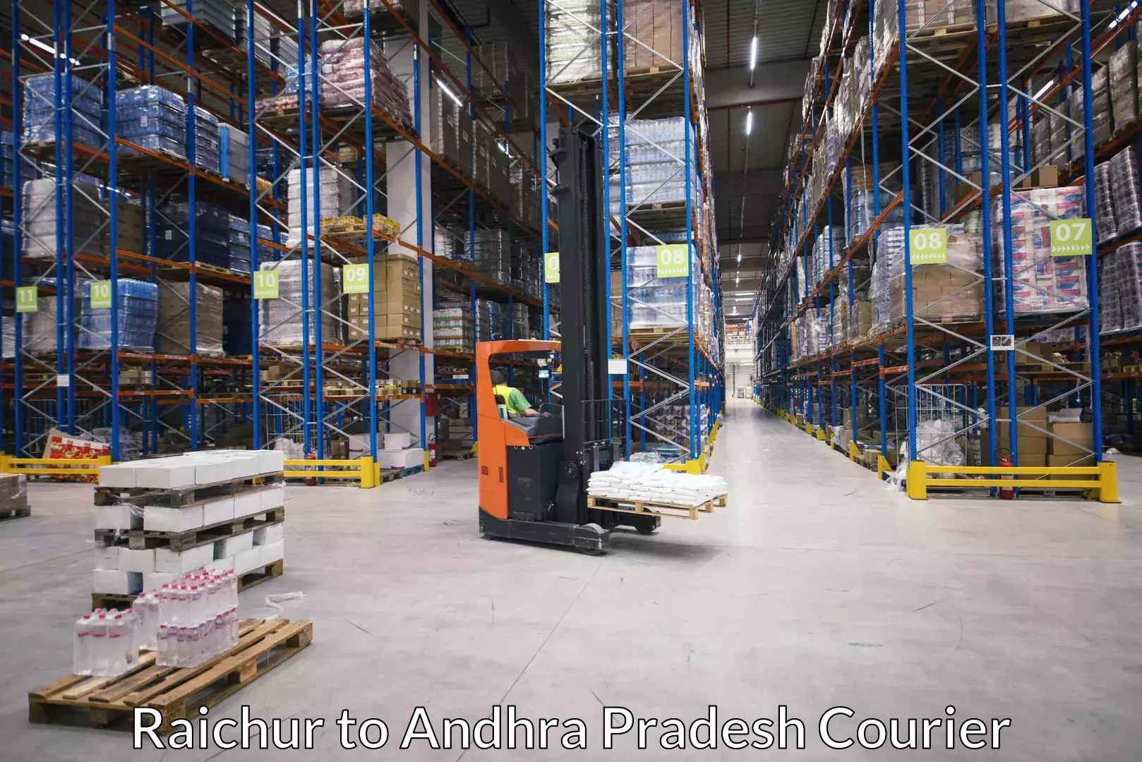 Luggage shipment processing in Raichur to Paderu