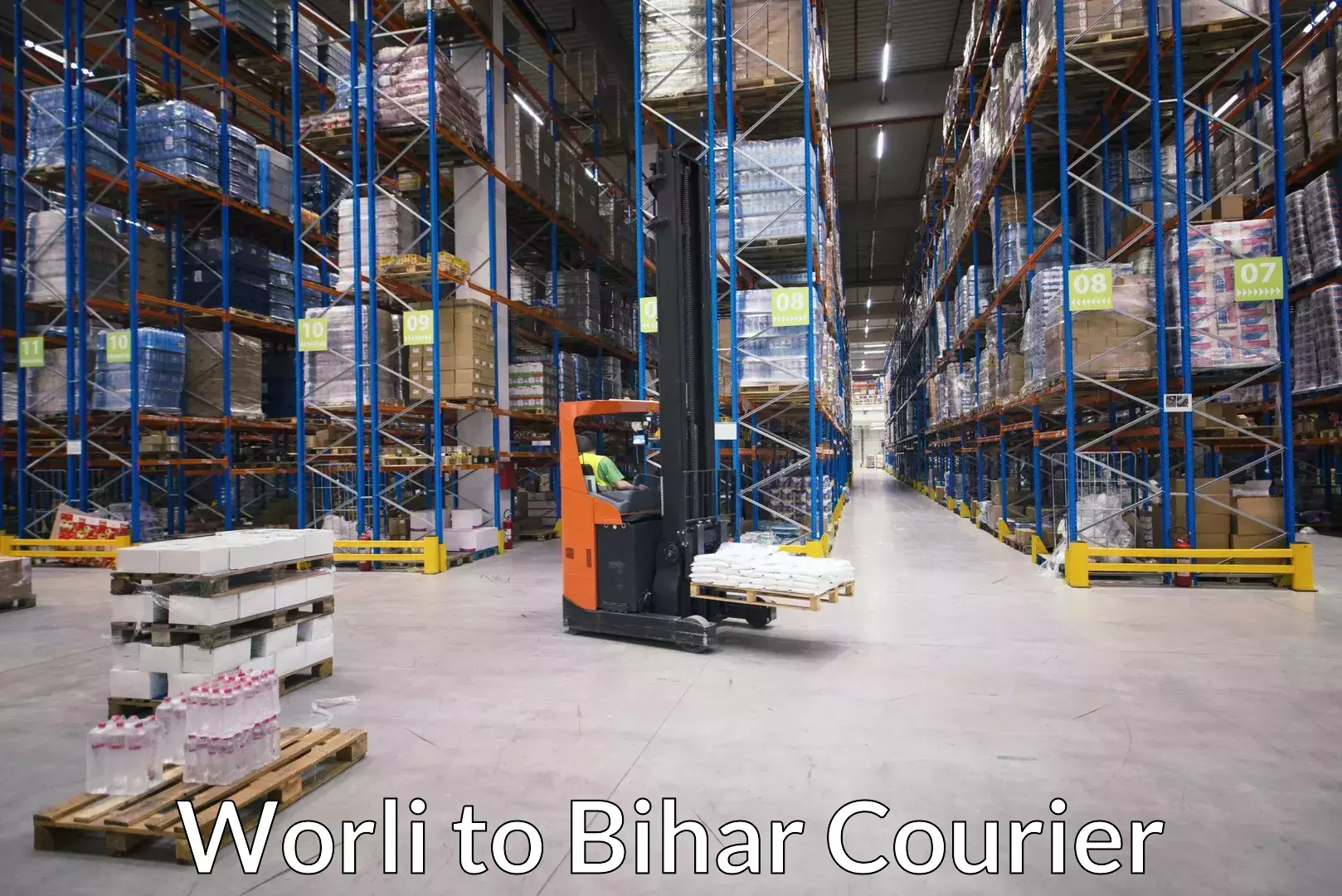 Baggage delivery scheduling Worli to Arrah