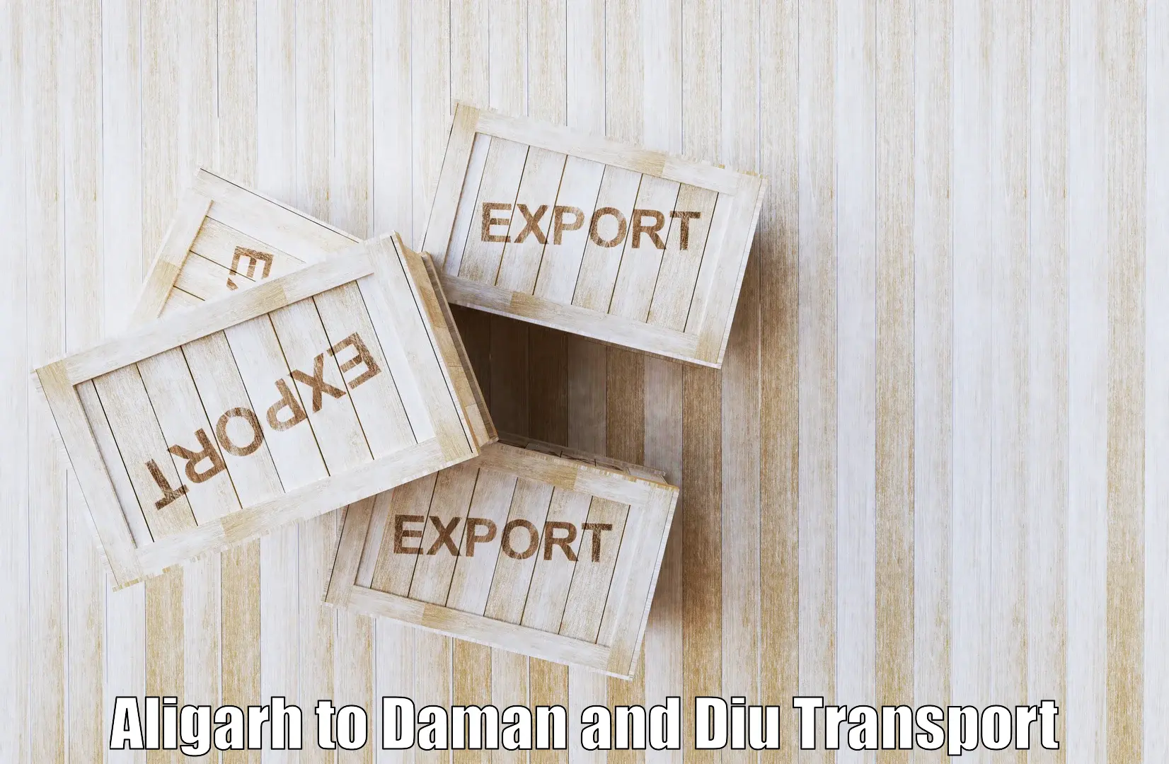 Commercial transport service Aligarh to Daman and Diu