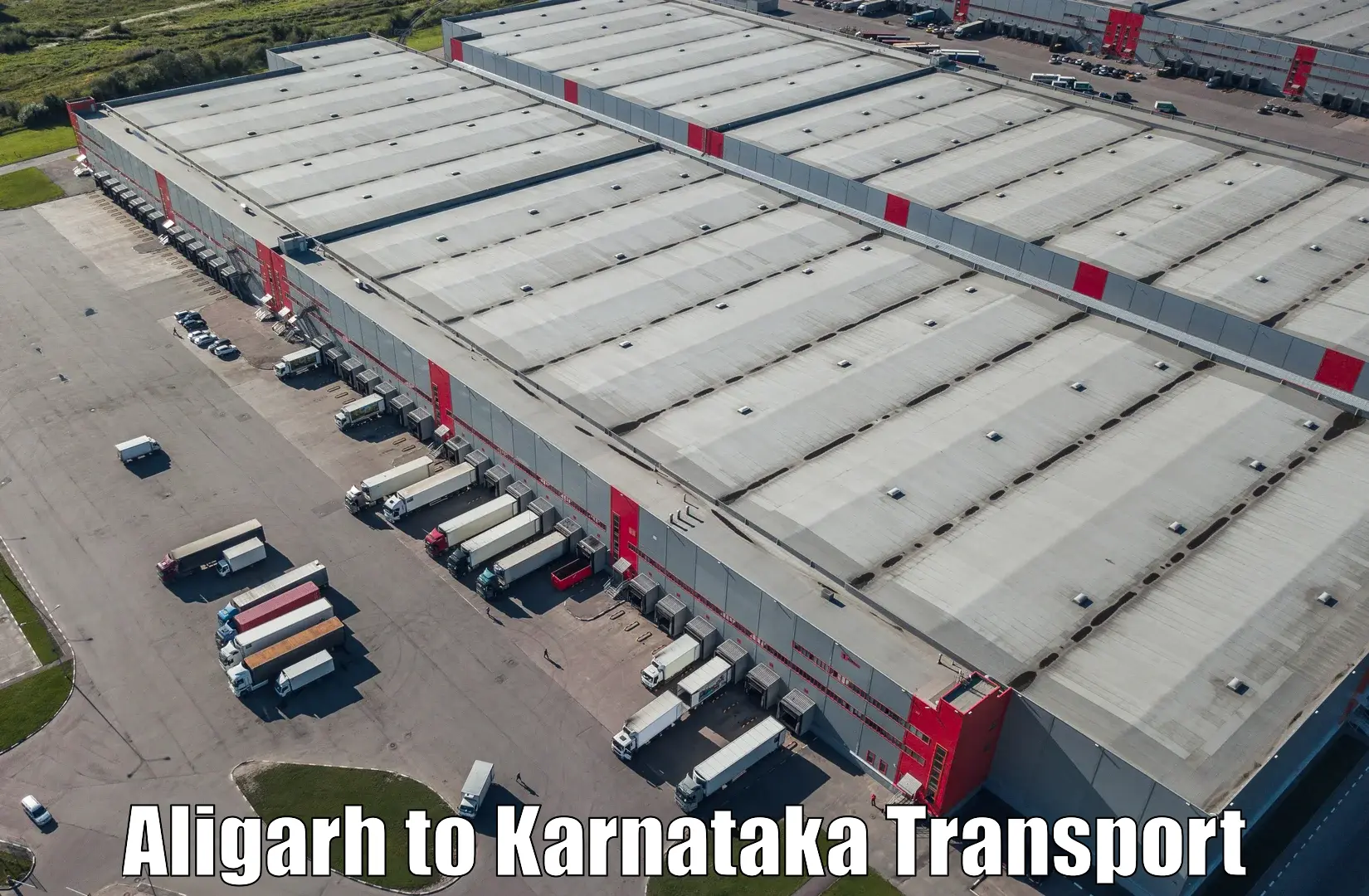 Air freight transport services Aligarh to Kuvempu University Shimoga