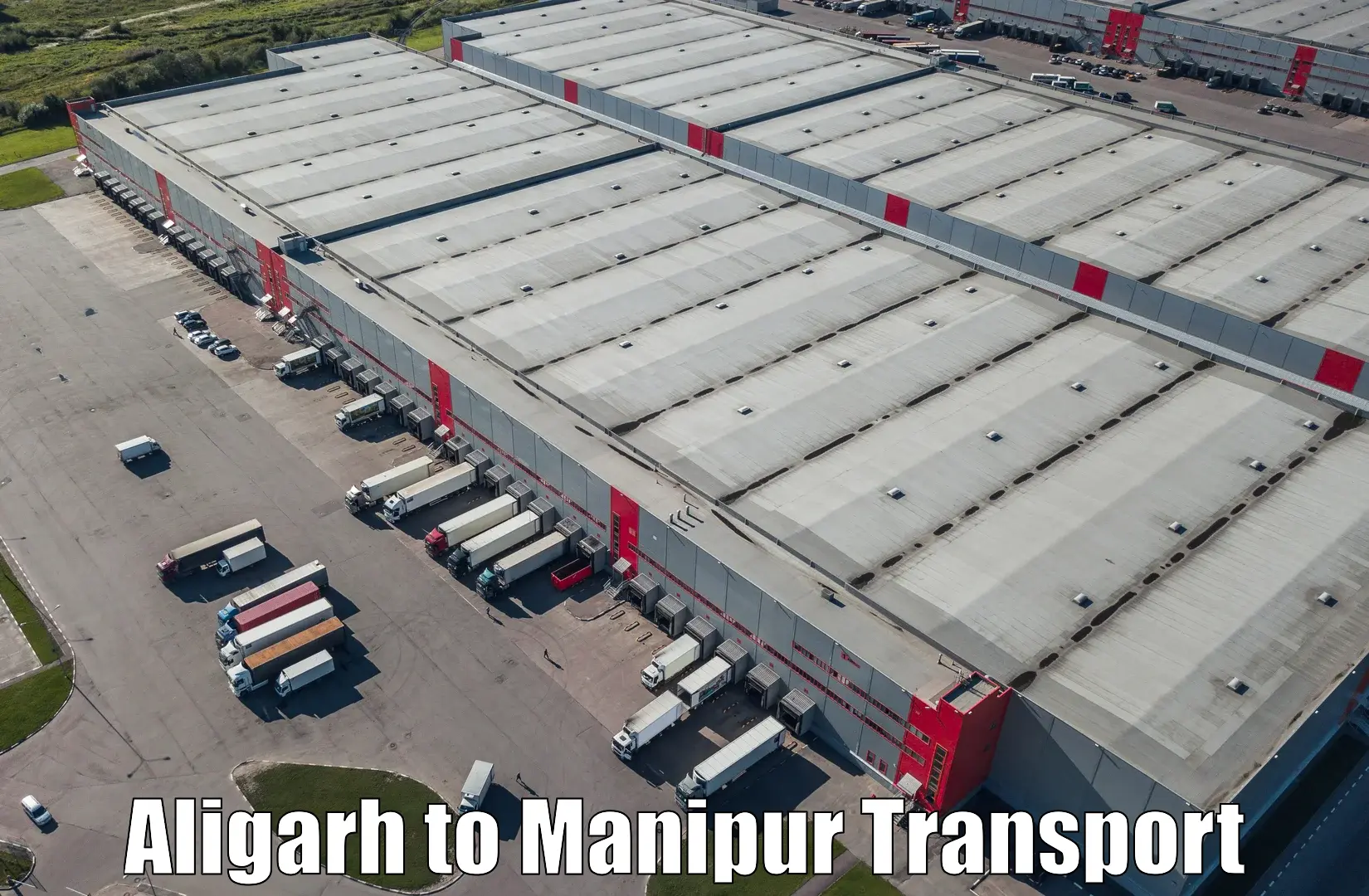 Logistics transportation services Aligarh to Manipur