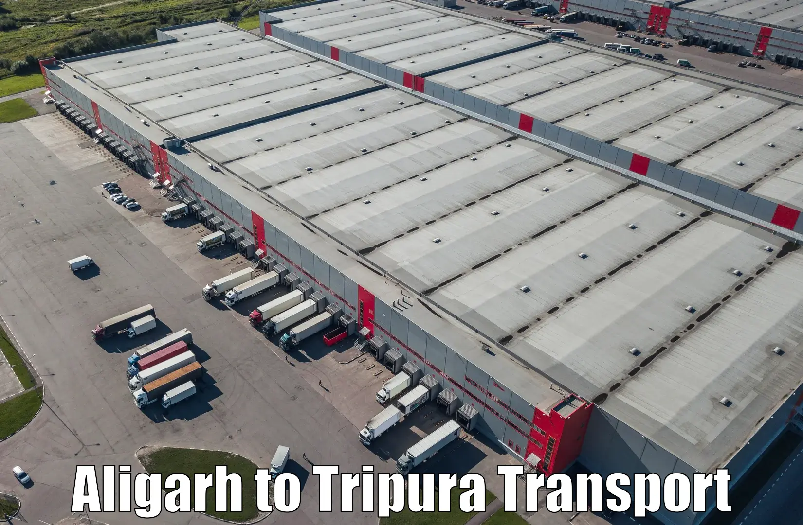 Goods transport services Aligarh to South Tripura