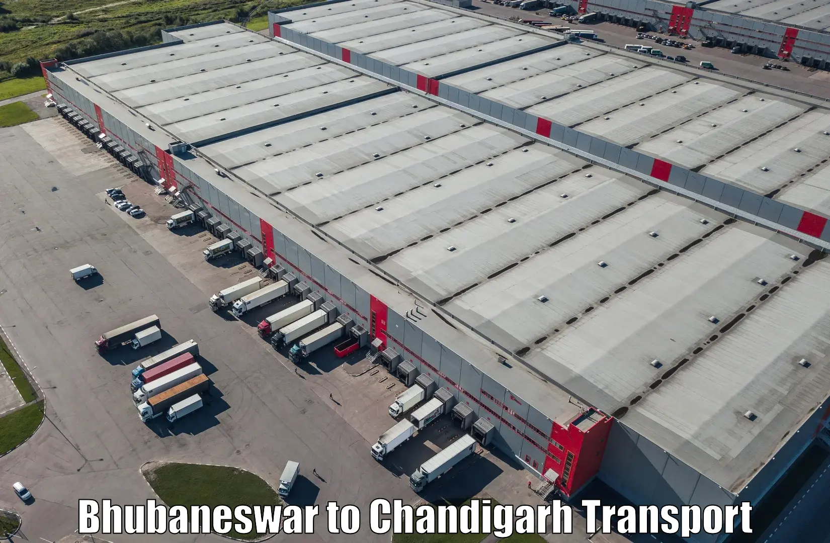 Nearby transport service Bhubaneswar to Chandigarh