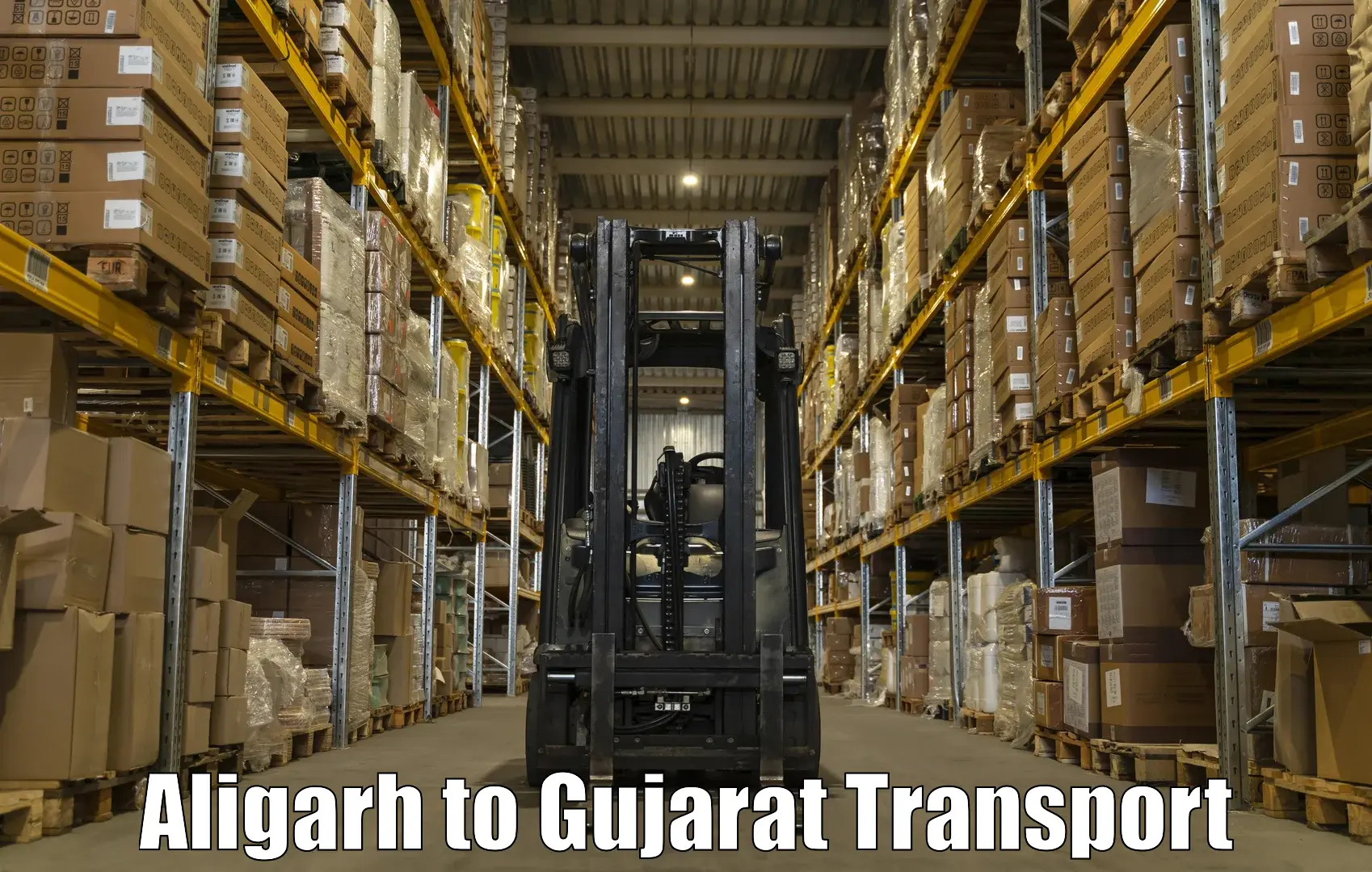 Parcel transport services Aligarh to Halol