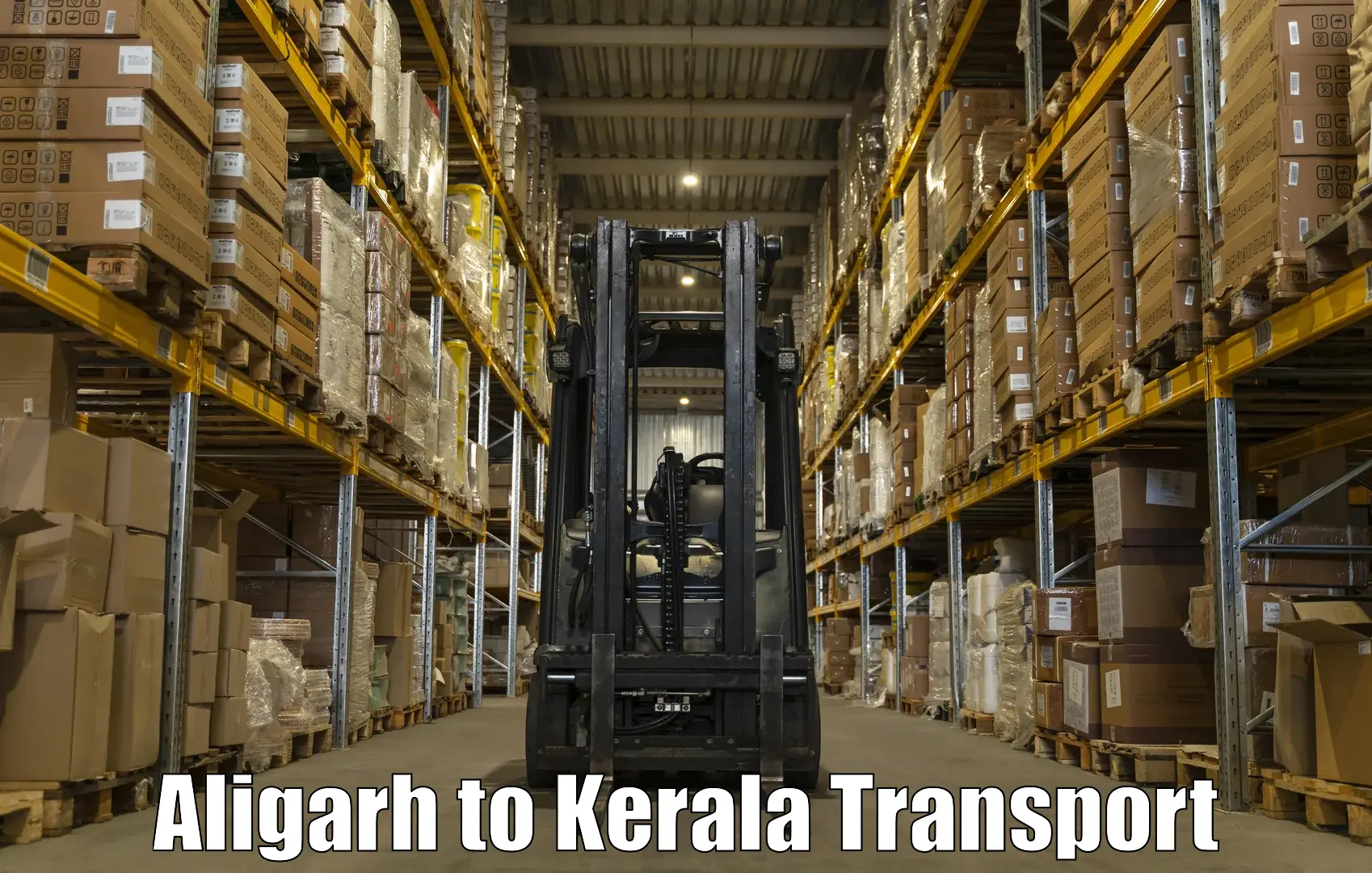 Vehicle transport services Aligarh to Alappuzha
