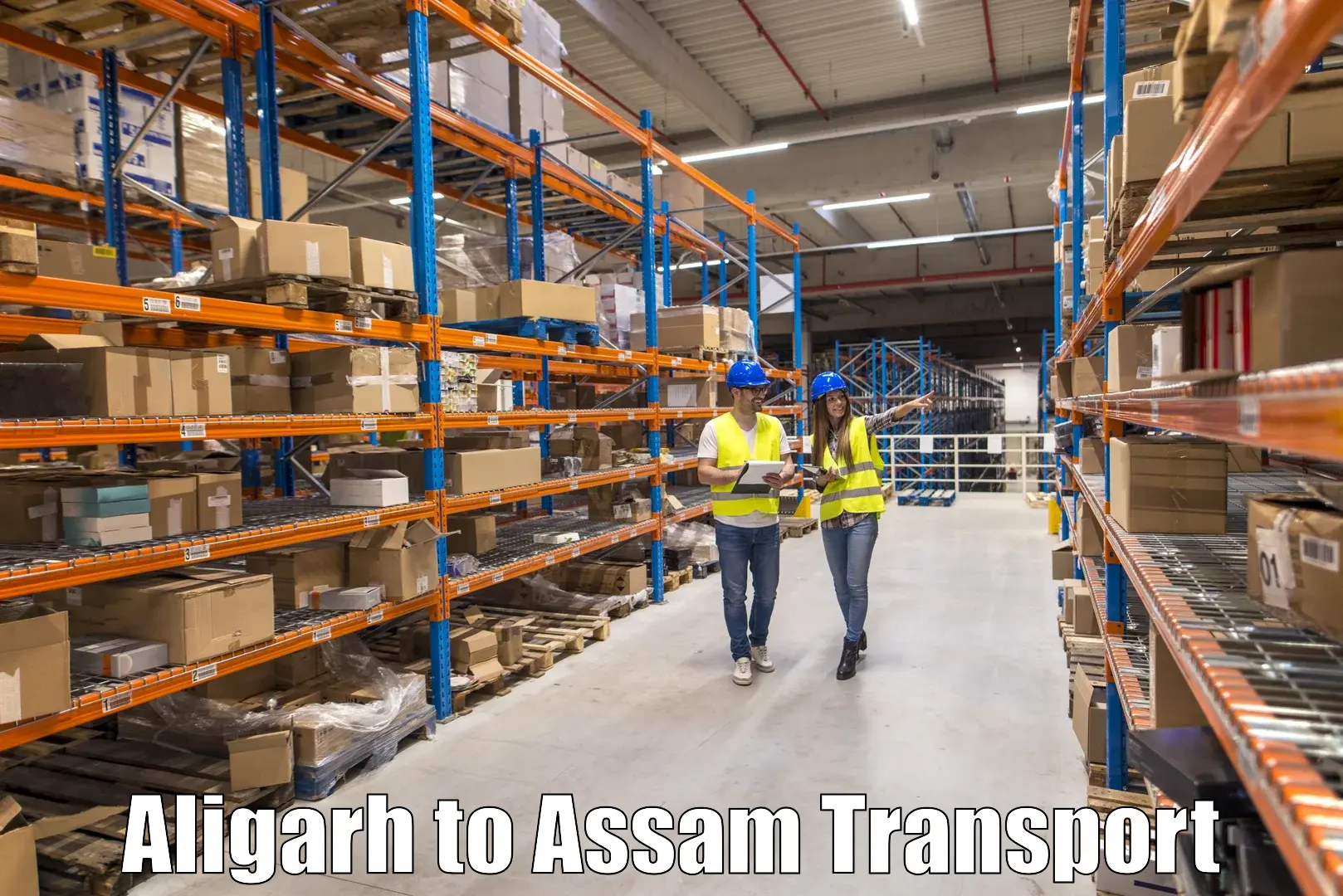 Container transport service Aligarh to Rajapara Khatajuli