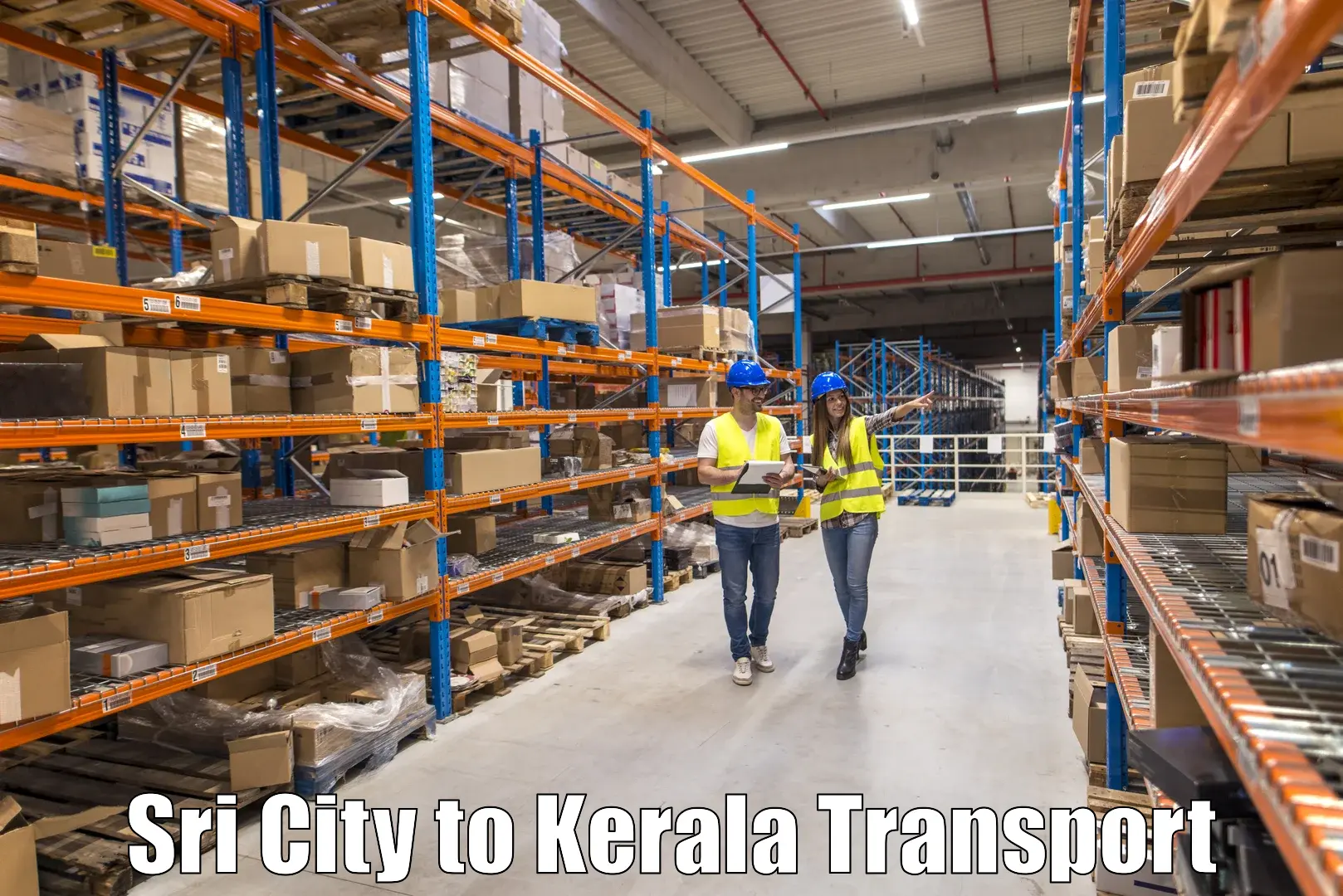 Two wheeler parcel service Sri City to Balussery