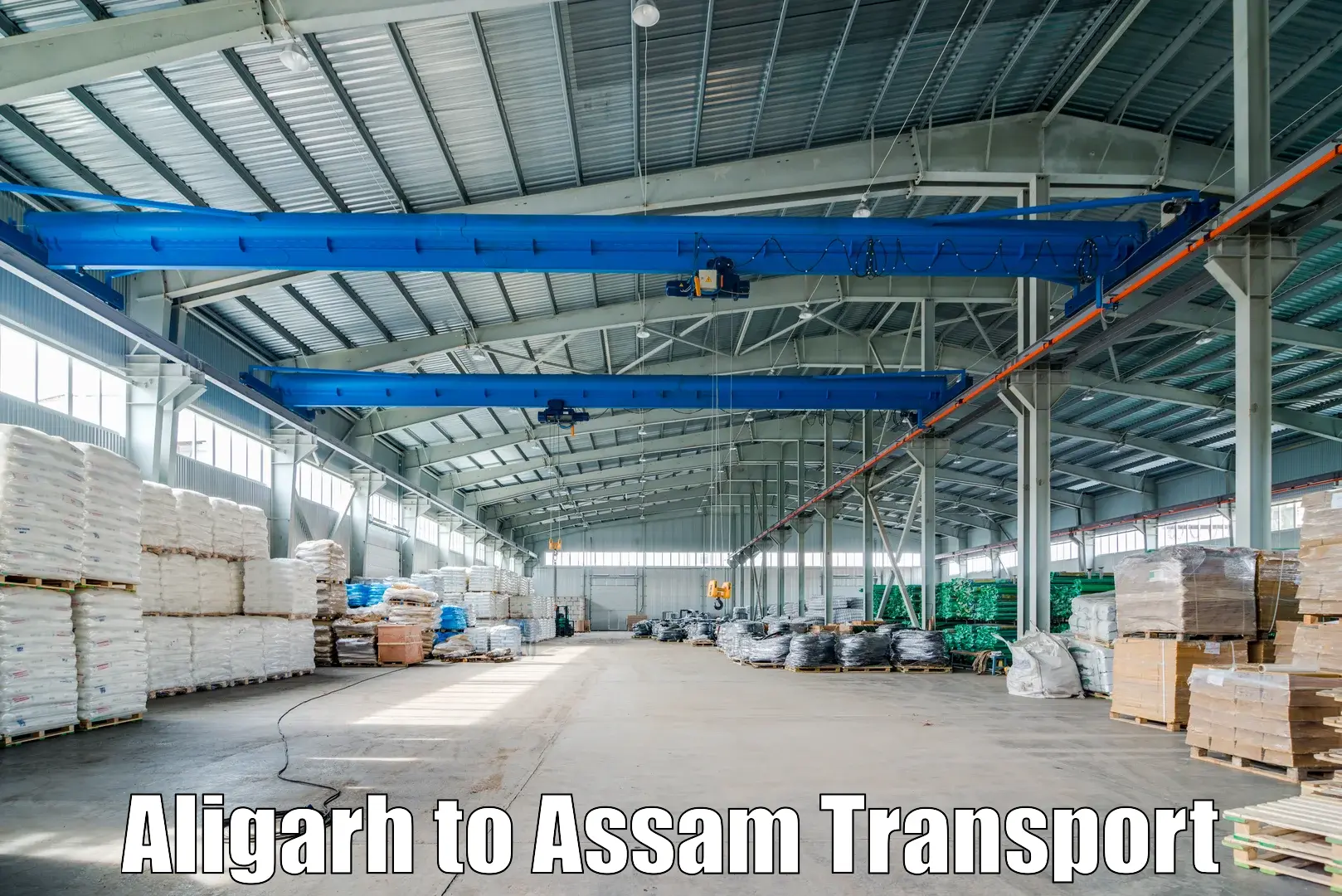 Container transport service Aligarh to Gauhati University Guwahati