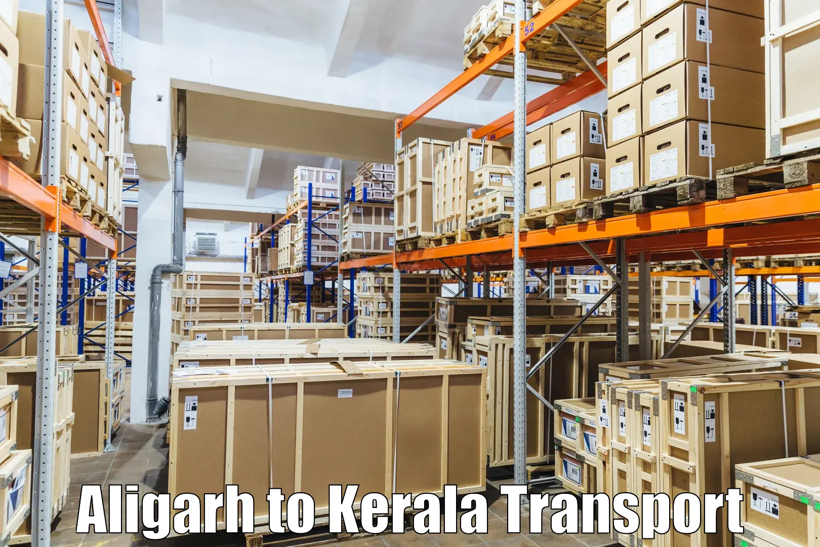 Air freight transport services Aligarh to Guruvayur
