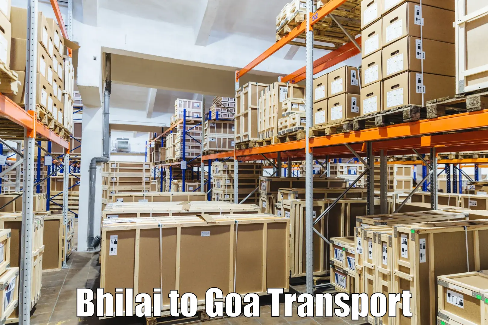 Shipping services in Bhilai to Goa University