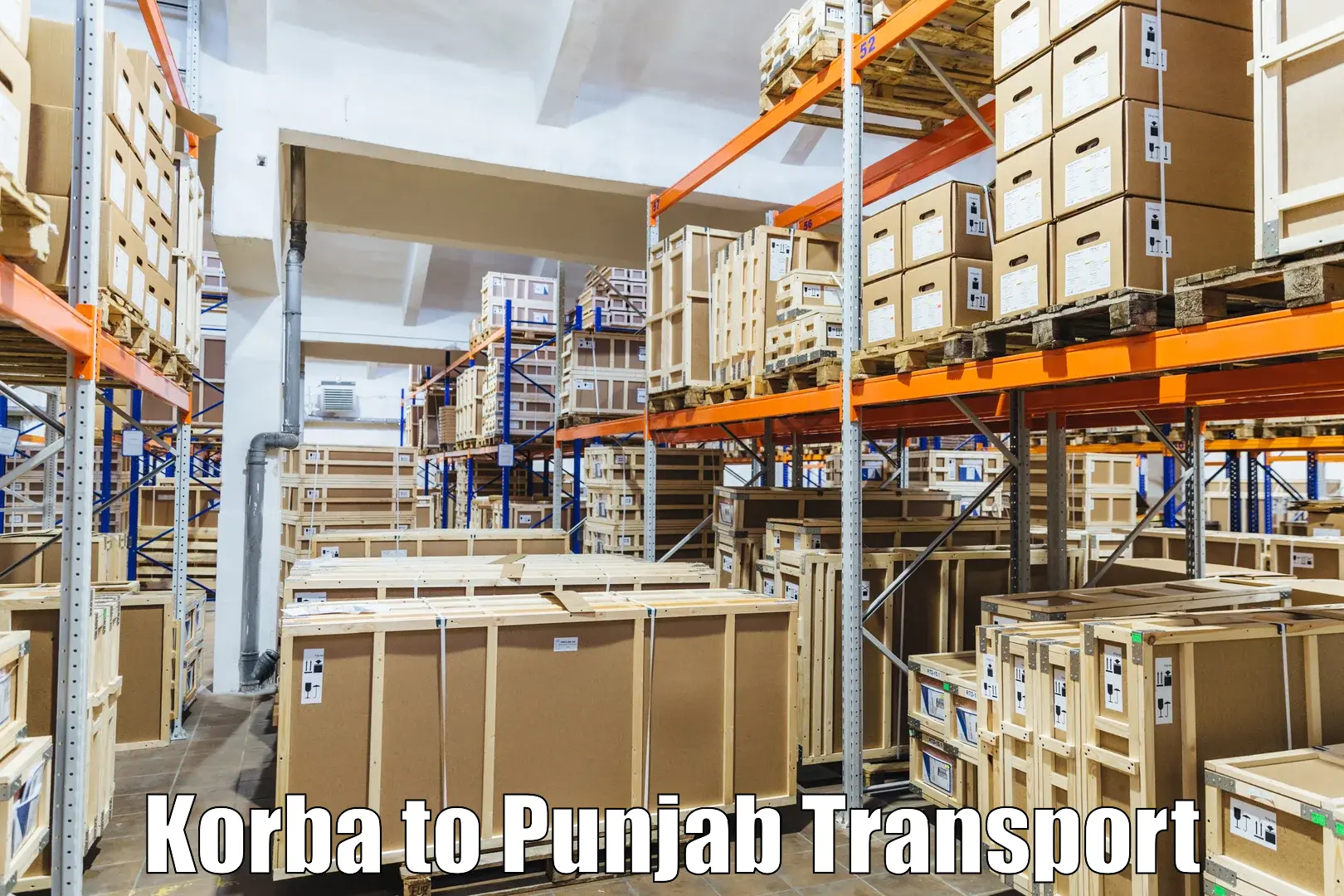 Transport shared services Korba to Rupnagar