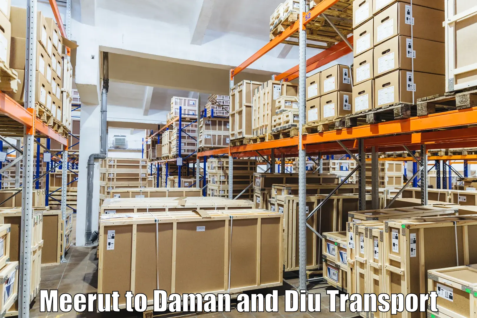 Container transport service Meerut to Daman and Diu