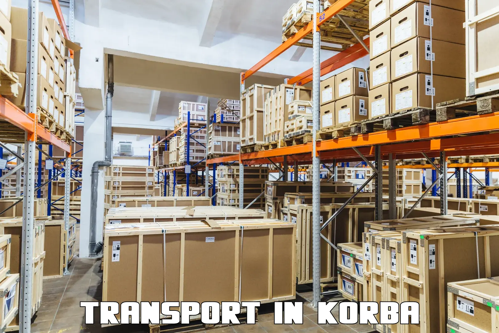Package delivery services in Korba